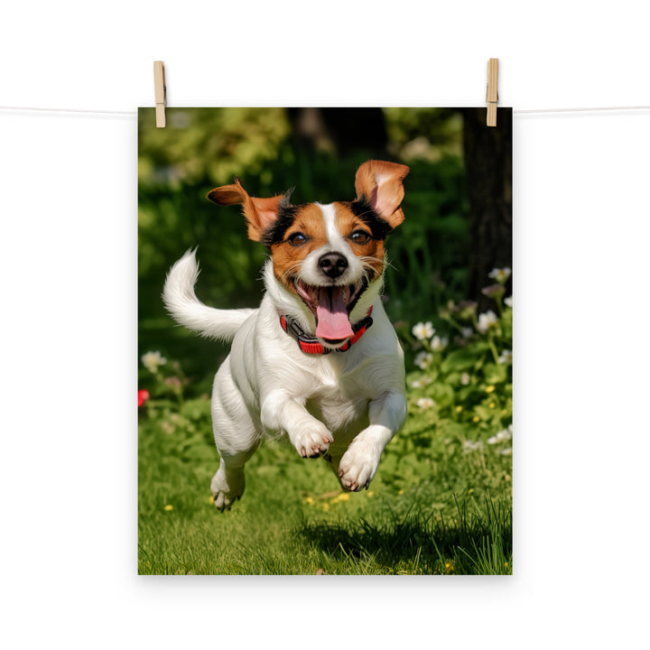 Jack Russell Terrier Photo paper poster - PosterfyAI.com