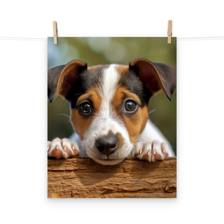 Jack Russell Terrier Photo paper poster - PosterfyAI.com