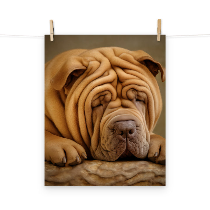 Shar Pei Photo paper poster - PosterfyAI.com