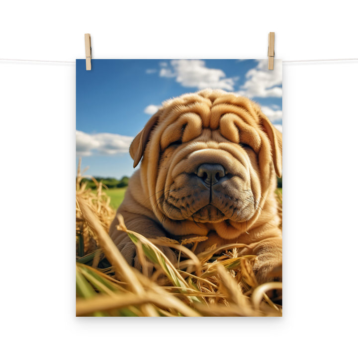 Shar Pei Photo paper poster - PosterfyAI.com