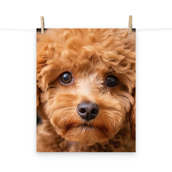 Poodle Photo paper poster - PosterfyAI.com