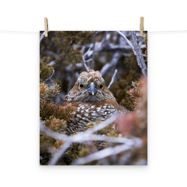 Grouse Photo paper poster - PosterfyAI.com