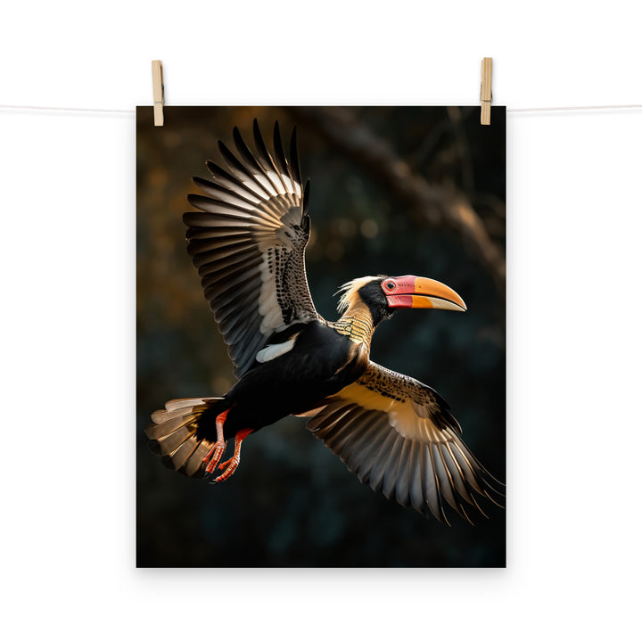 Hornbill Photo paper poster - PosterfyAI.com