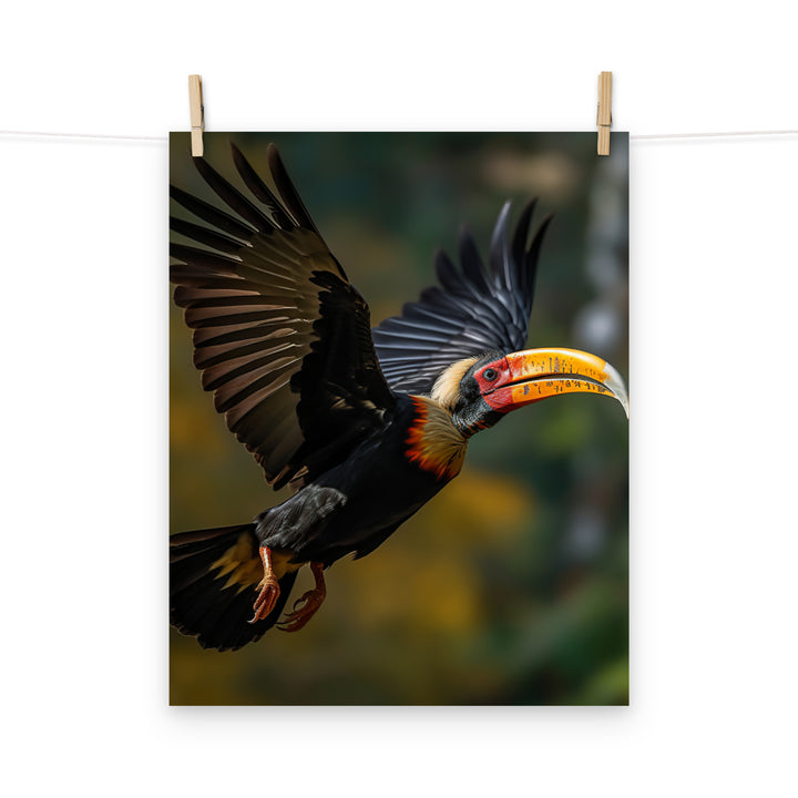 Hornbill Photo paper poster - PosterfyAI.com