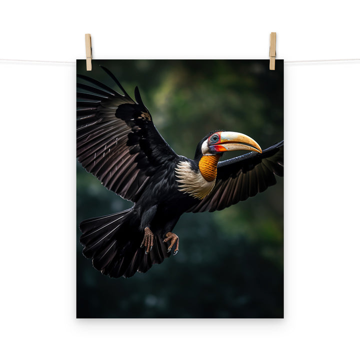 Hornbill Photo paper poster - PosterfyAI.com