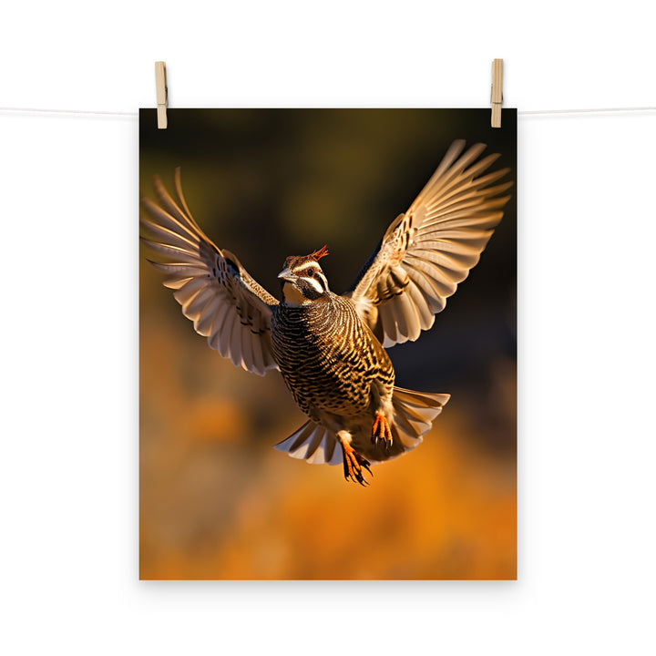 Quail Photo paper poster - PosterfyAI.com