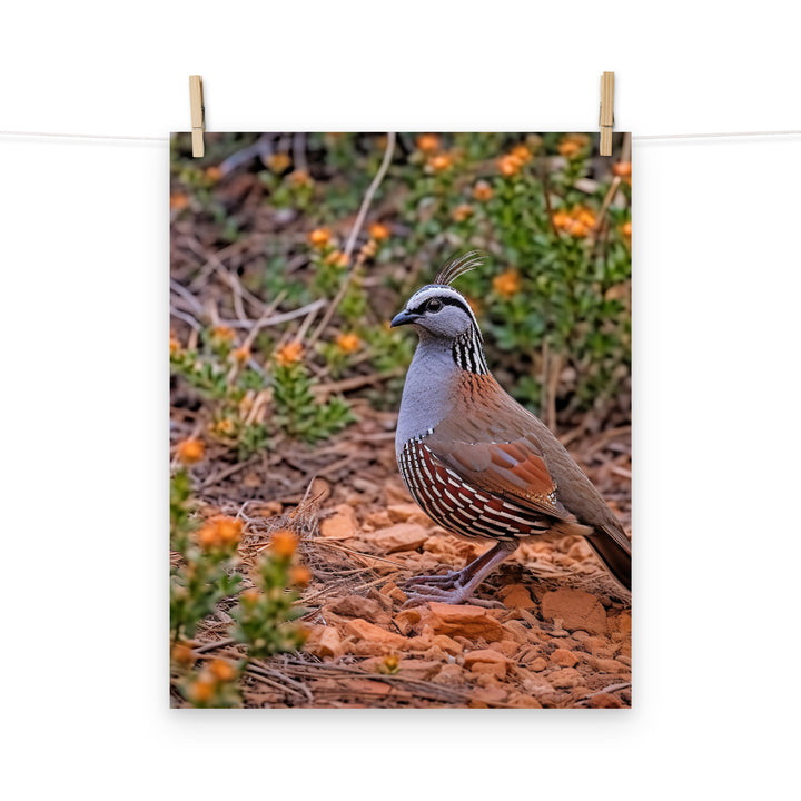 Quail Photo paper poster - PosterfyAI.com