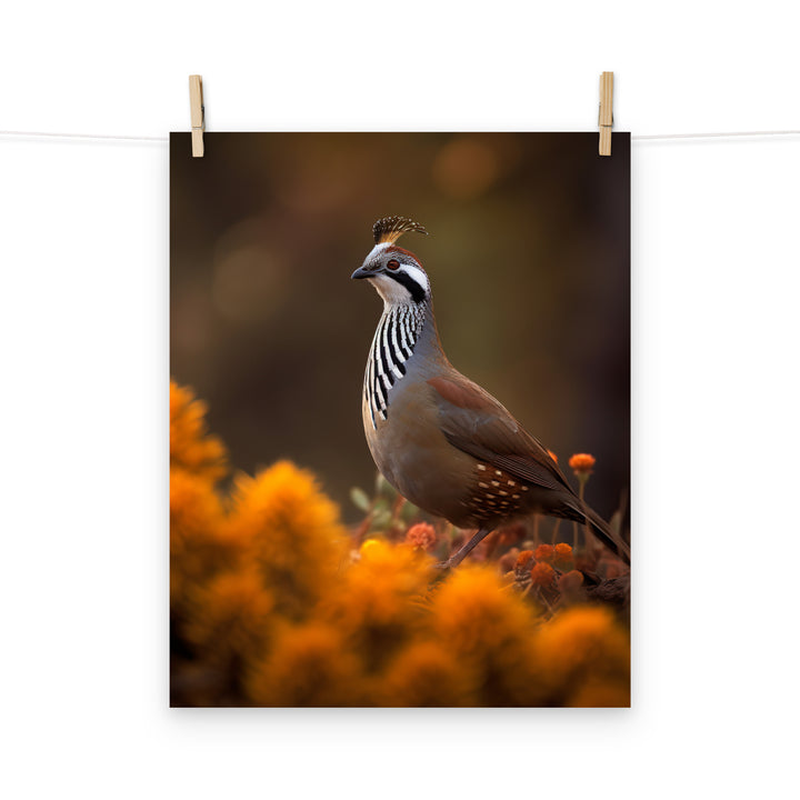 Quail Photo paper poster - PosterfyAI.com