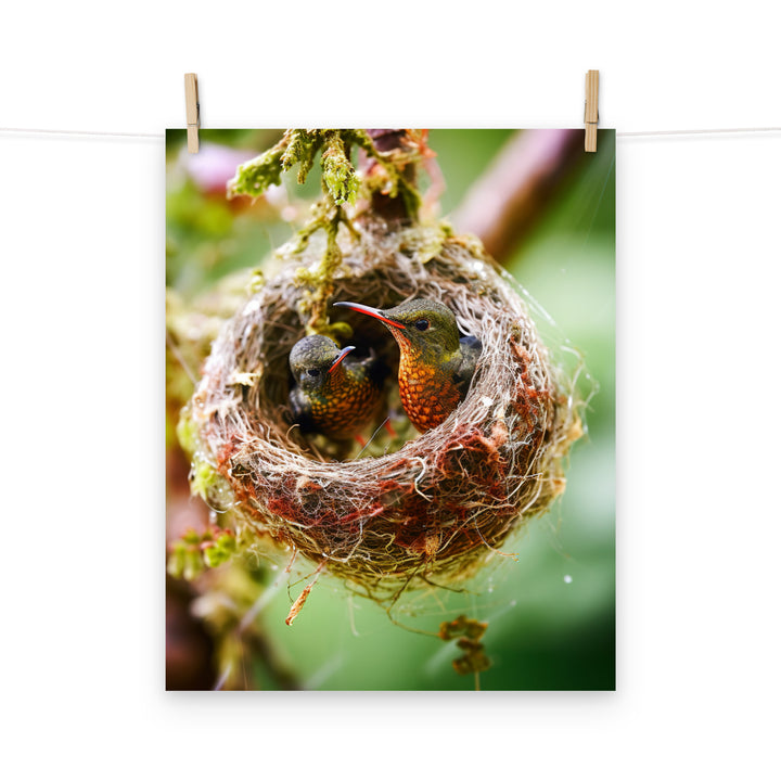 Hummingbird Photo paper poster - PosterfyAI.com