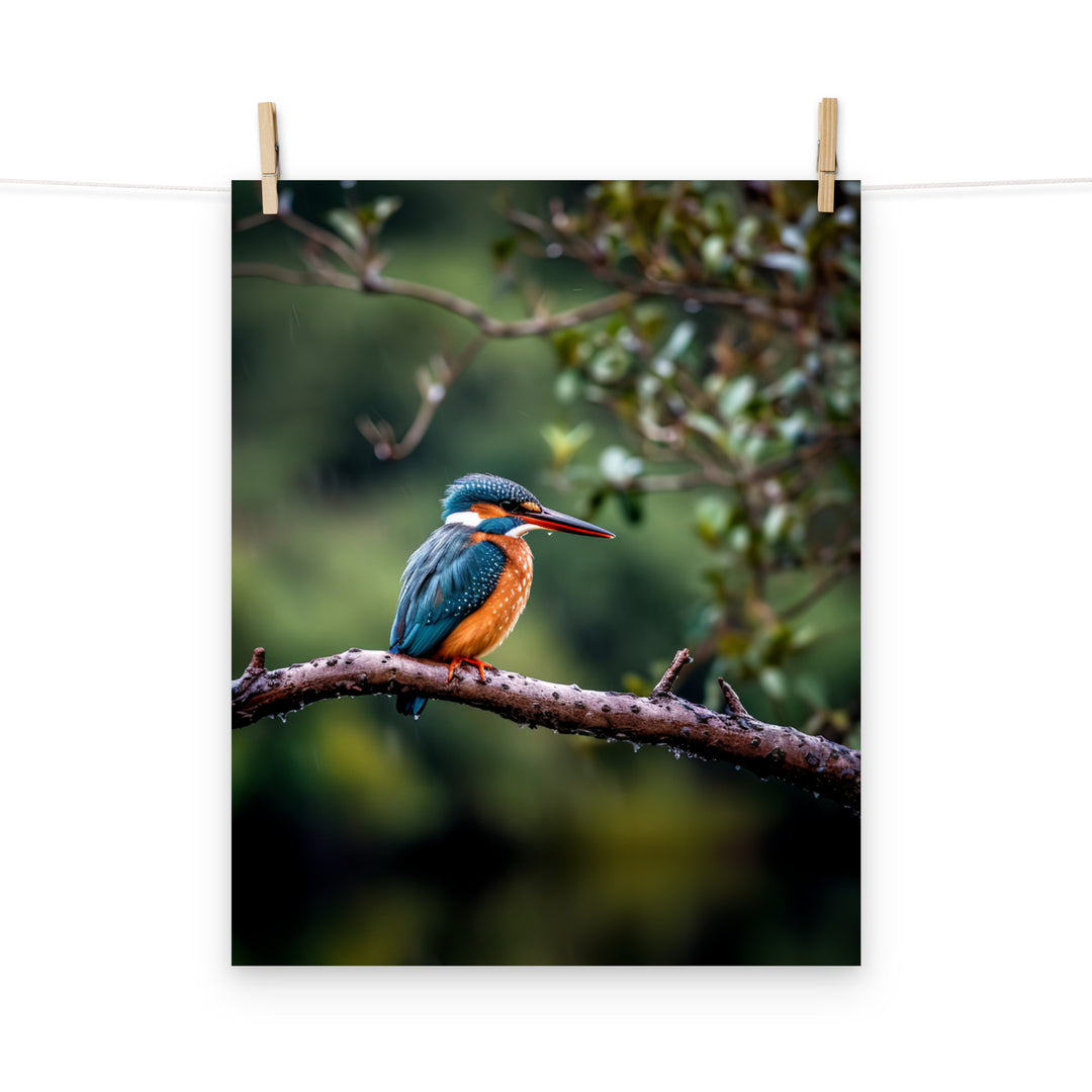 Kingfisher Photo paper poster - PosterfyAI.com