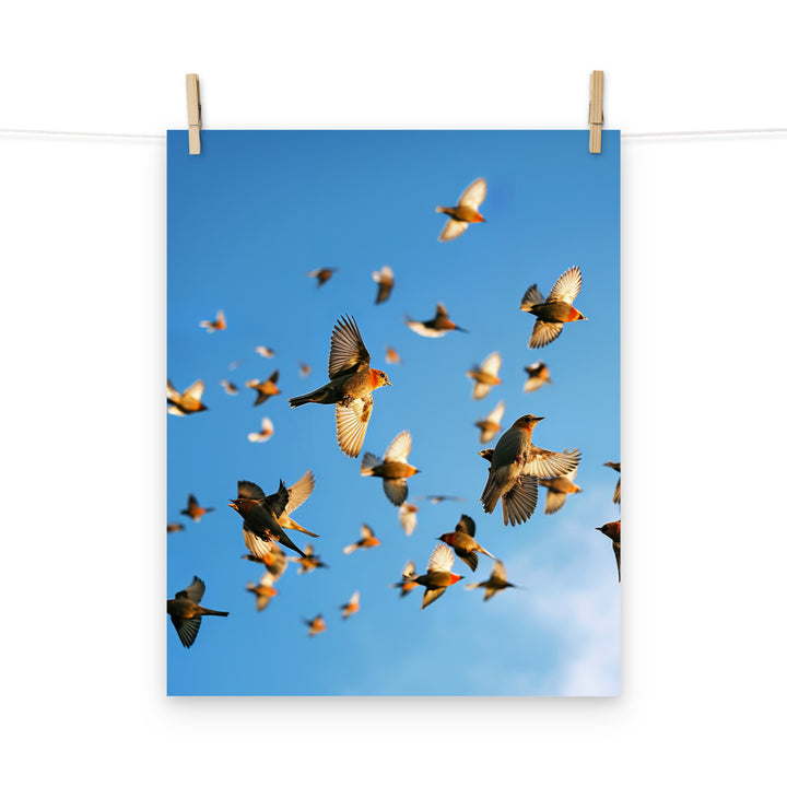 Finch Photo paper poster - PosterfyAI.com