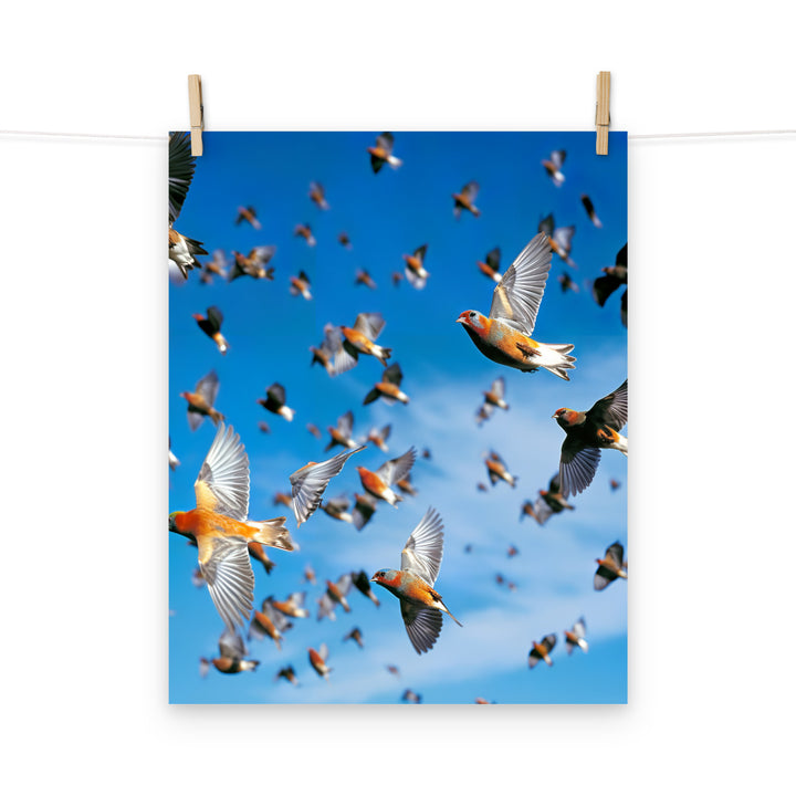Finch Photo paper poster - PosterfyAI.com