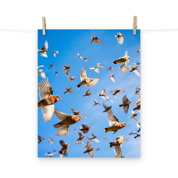 Finch Photo paper poster - PosterfyAI.com