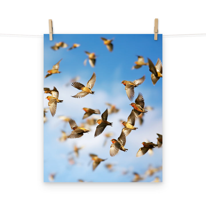 Finch Photo paper poster - PosterfyAI.com