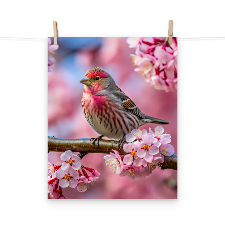 Finch Photo paper poster - PosterfyAI.com