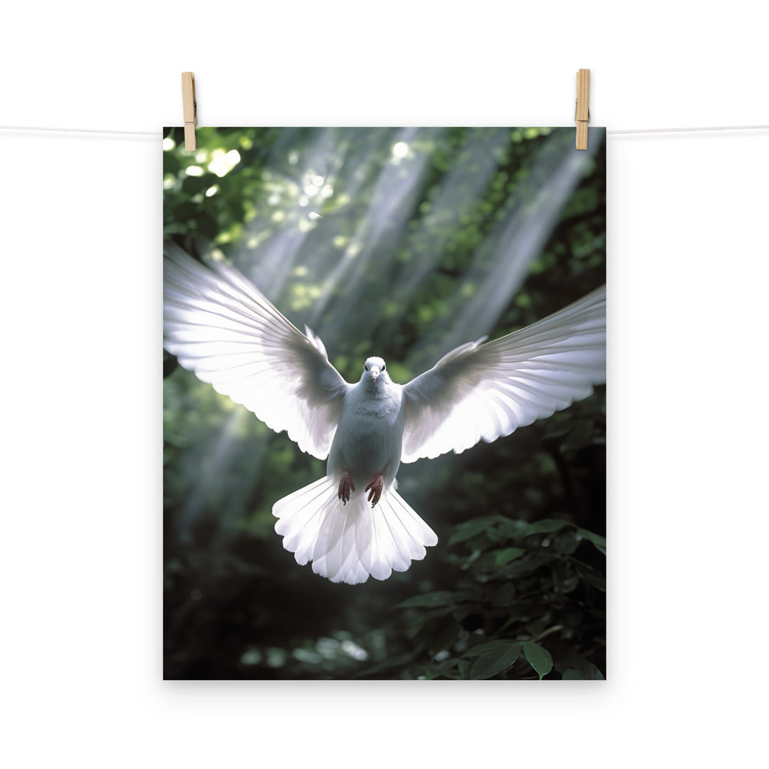 Dove Photo paper poster - PosterfyAI.com