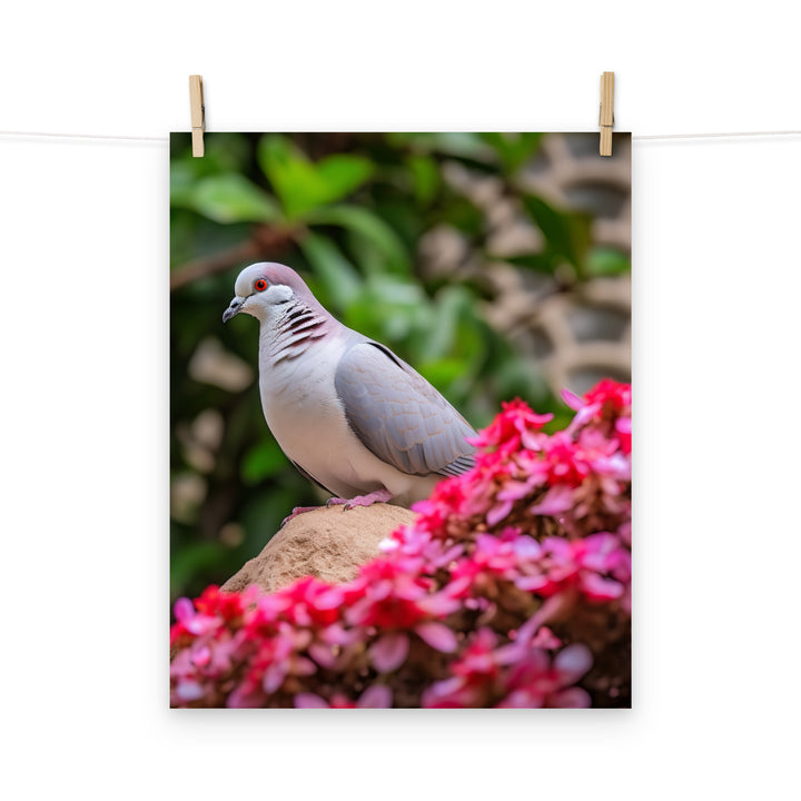 Dove Photo paper poster - PosterfyAI.com