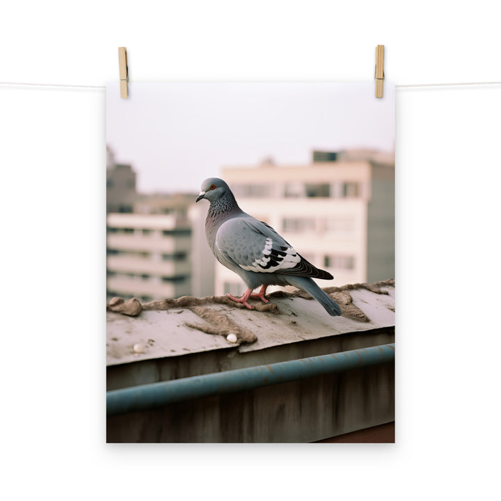 Pigeon Photo paper poster - PosterfyAI.com