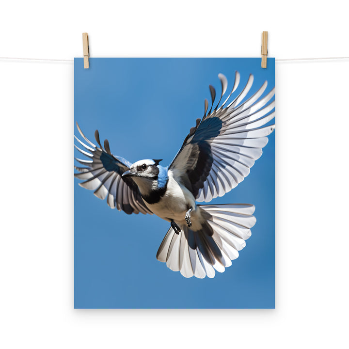 Jay Photo paper poster - PosterfyAI.com