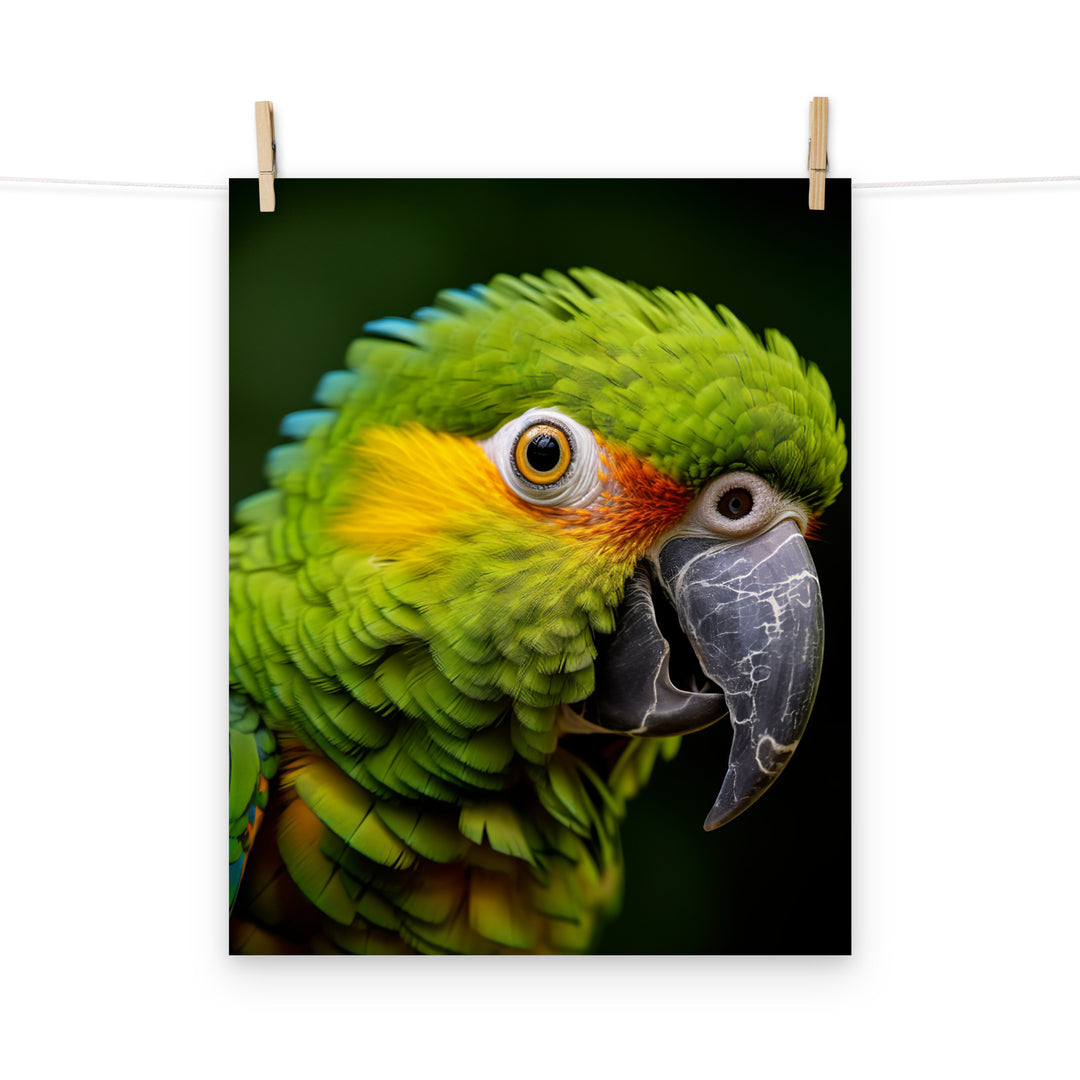 Parrot Photo paper poster - PosterfyAI.com