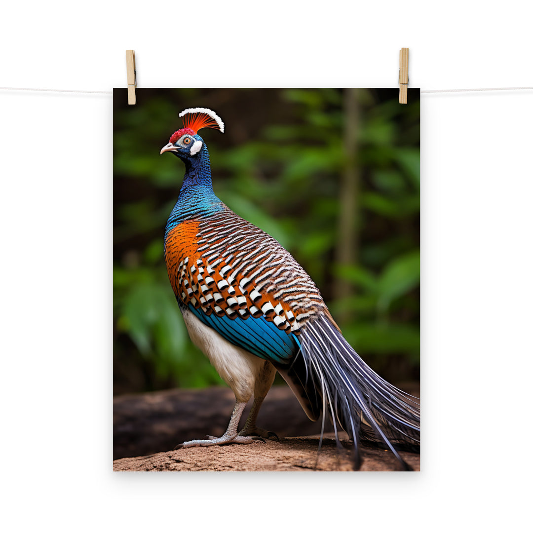 Pheasant Photo paper poster - PosterfyAI.com