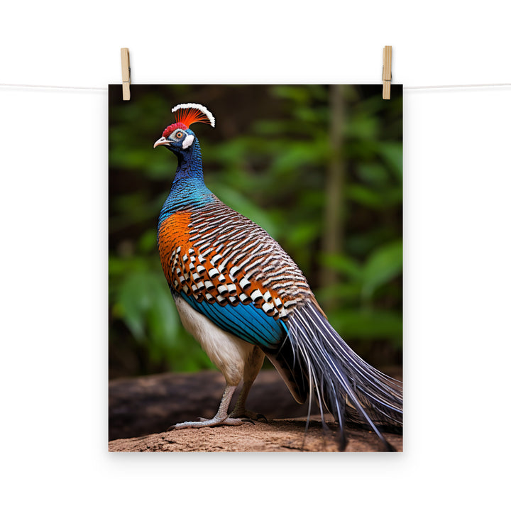 Pheasant Photo paper poster - PosterfyAI.com