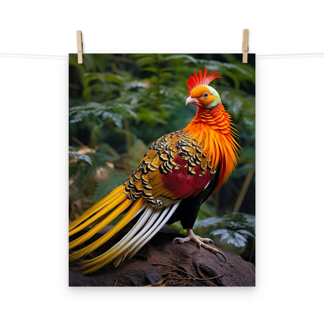 Pheasant Photo paper poster - PosterfyAI.com