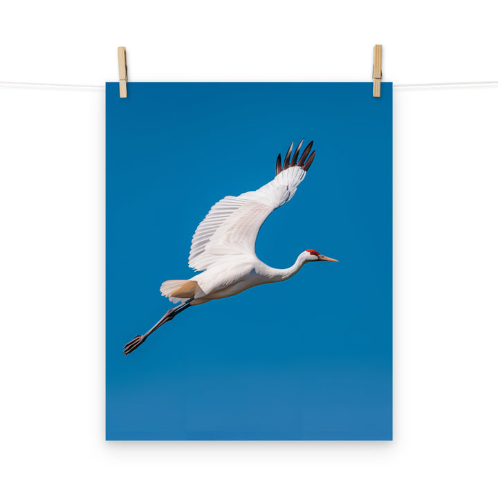 Crane Photo paper poster - PosterfyAI.com
