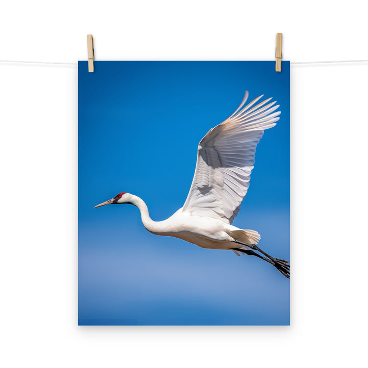 Crane Photo paper poster - PosterfyAI.com
