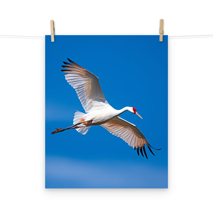 Crane Photo paper poster - PosterfyAI.com