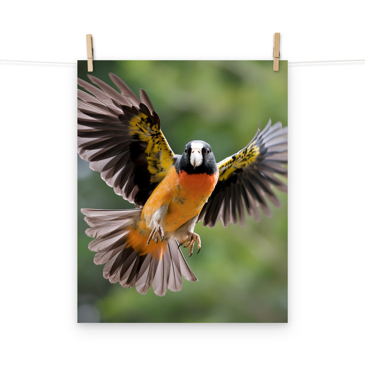 Caique Photo paper poster - PosterfyAI.com