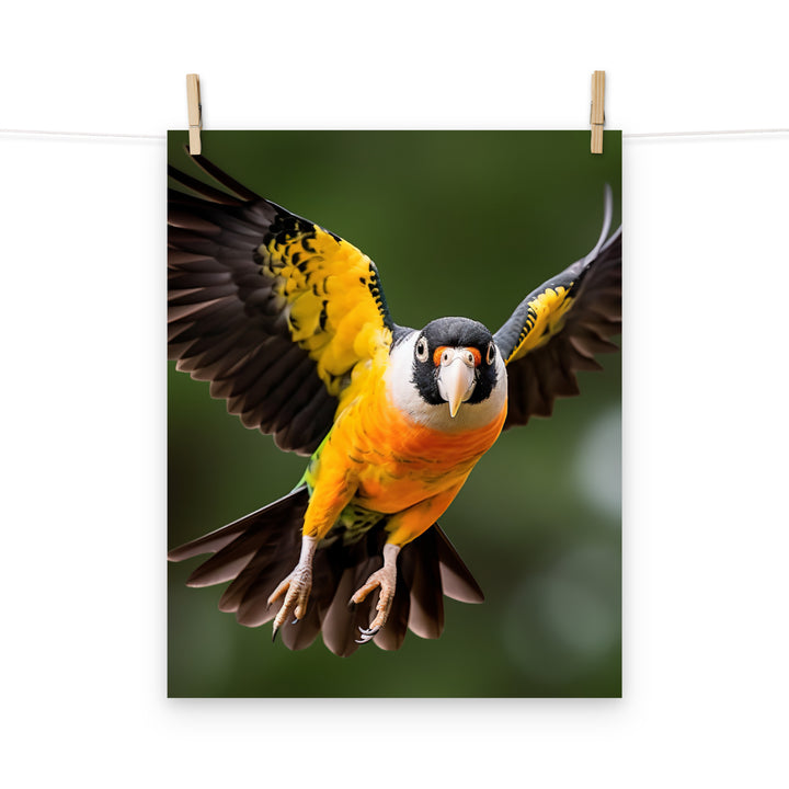 Caique Photo paper poster - PosterfyAI.com