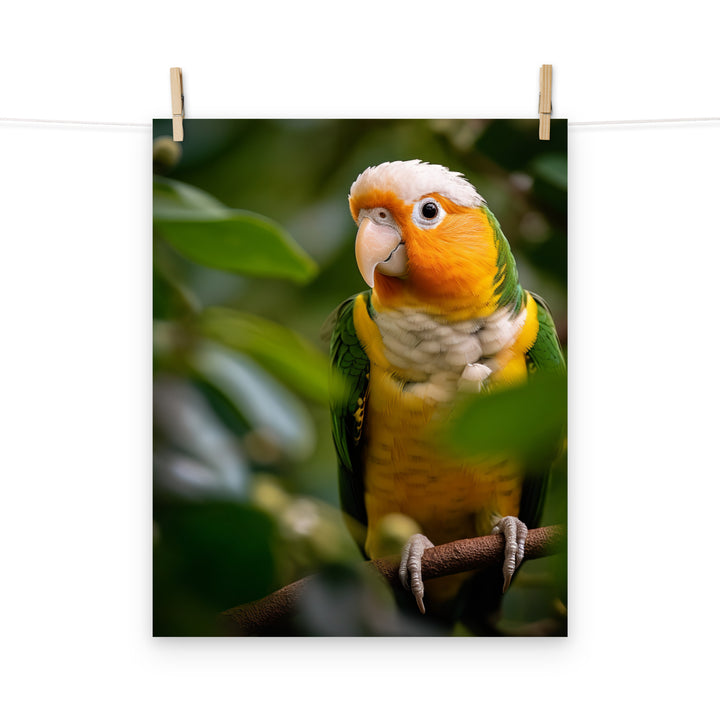 Caique Photo paper poster - PosterfyAI.com
