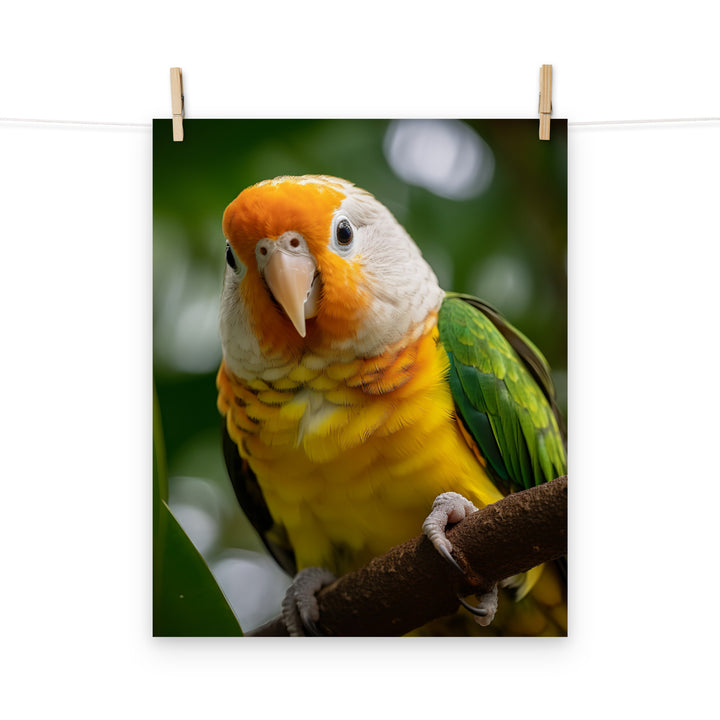 Caique Photo paper poster - PosterfyAI.com