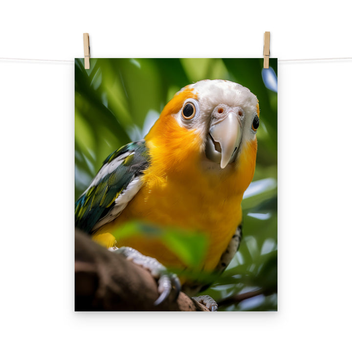 Caique Photo paper poster - PosterfyAI.com