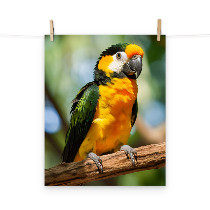 Caique Photo paper poster - PosterfyAI.com