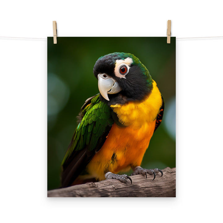 Caique Photo paper poster - PosterfyAI.com