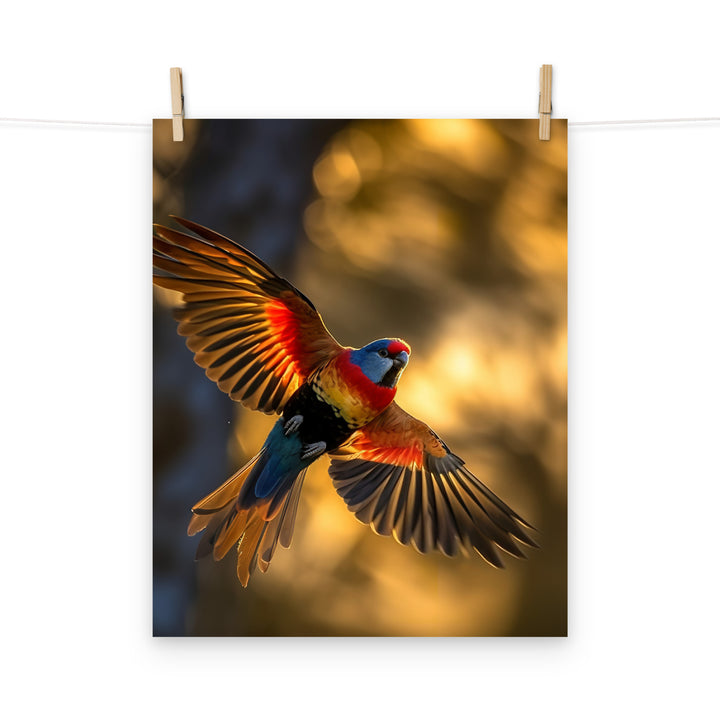 Rosella Photo paper poster - PosterfyAI.com