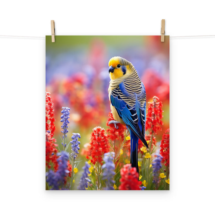Rosella Photo paper poster - PosterfyAI.com