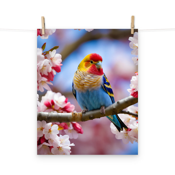 Rosella Photo paper poster - PosterfyAI.com