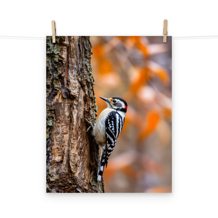 Woodpecker Photo paper poster - PosterfyAI.com