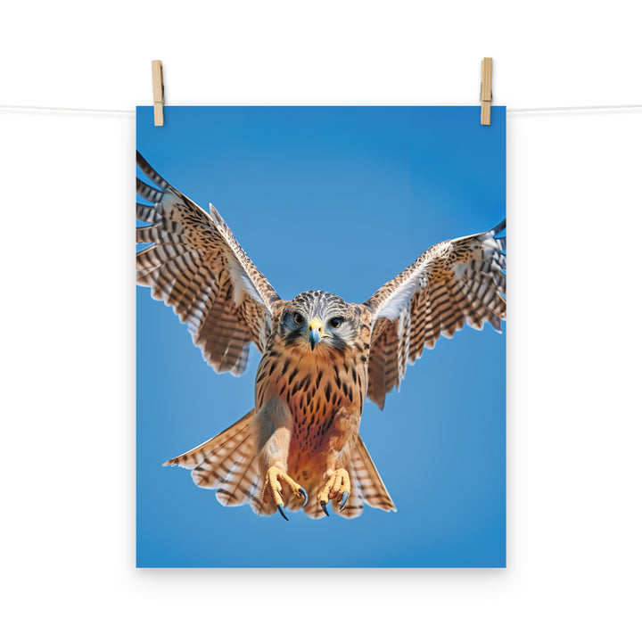 Falcon Photo paper poster - PosterfyAI.com