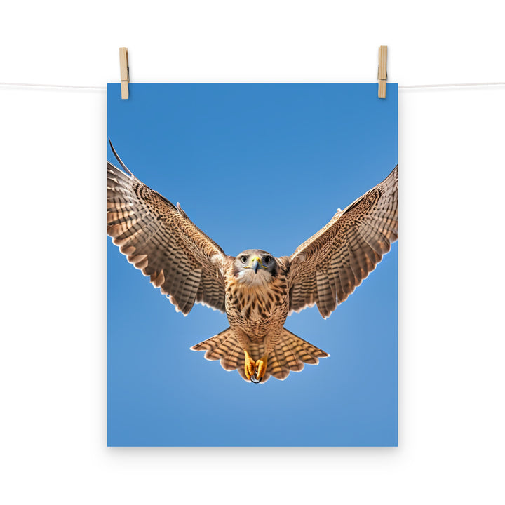 Falcon Photo paper poster - PosterfyAI.com
