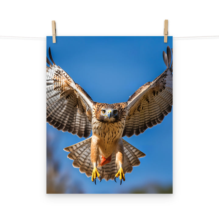 Hawk Photo paper poster - PosterfyAI.com