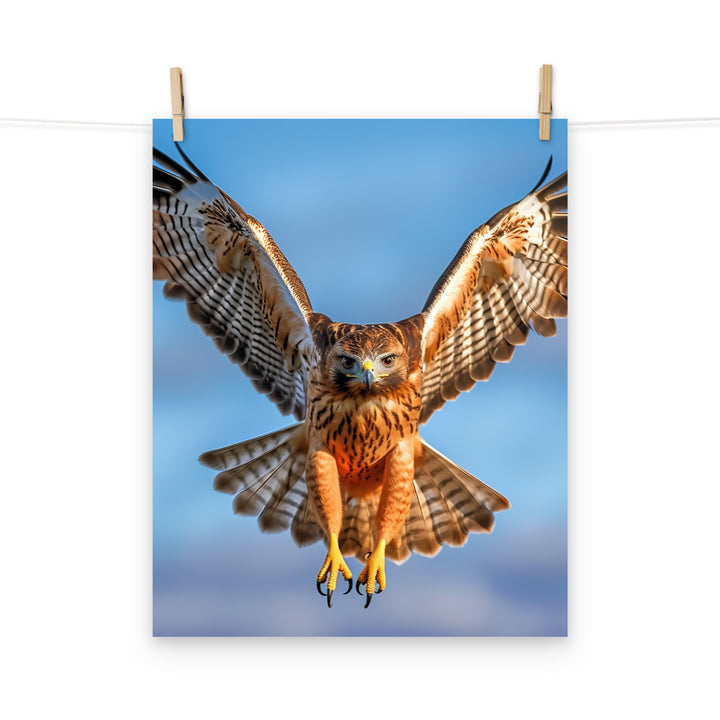 Hawk Photo paper poster - PosterfyAI.com