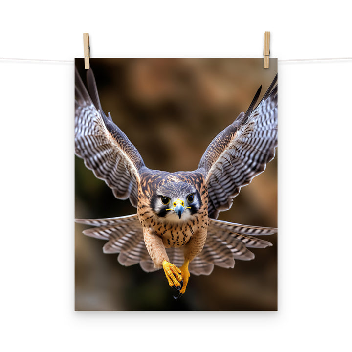 Falcon Photo paper poster - PosterfyAI.com
