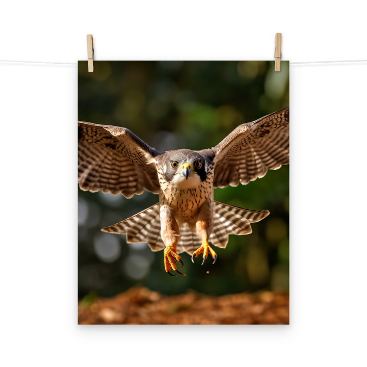 Falcon Photo paper poster - PosterfyAI.com