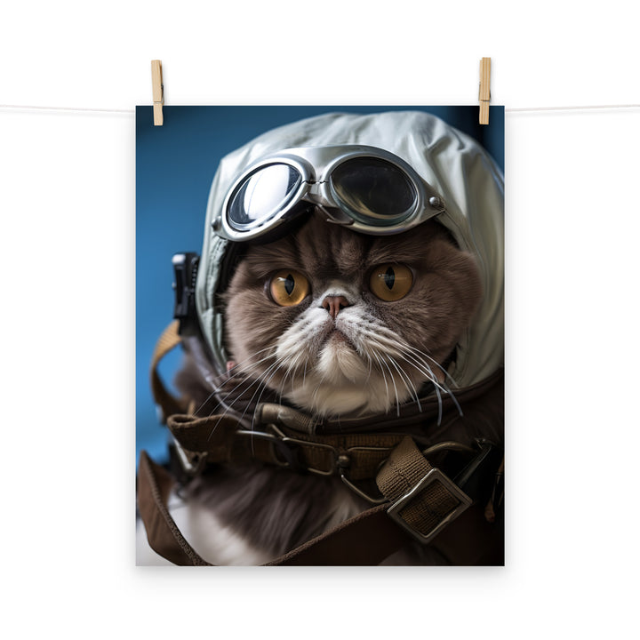 Exotic Shorthair Pilot Photo paper poster - PosterfyAI.com