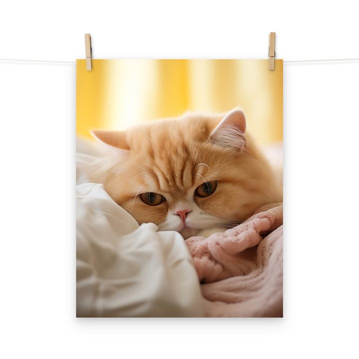 Exotic Shorthair Photo paper poster - PosterfyAI.com