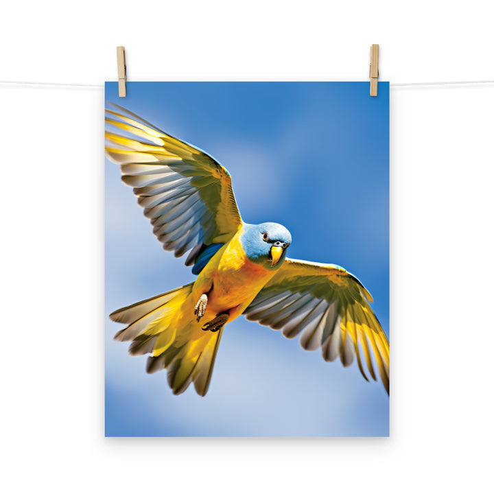 Parakeet Photo paper poster - PosterfyAI.com